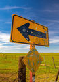 Bullet Riddled Sign print