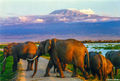 Elephants by Mt. Kilimanjaro print