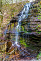 Fall Hollow print