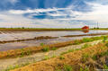Flooded Farmlands Field print