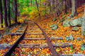 Shenandoah Railroad Tracks print