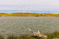 Sherman Island Windmills