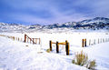 Snowy Fence Scene print