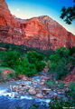 Virgin River Zion print