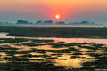 Zambia-Sunrise Over Marsh