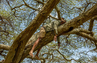 Africa-Pretending to be a Leopard