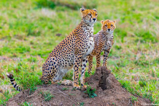 Africa-Termite Mound Lookouts
