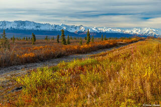 Alaska Mountain Range