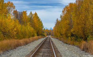 Alaska Railroad Tracks