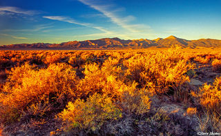 Baker Nevada After Sunrise