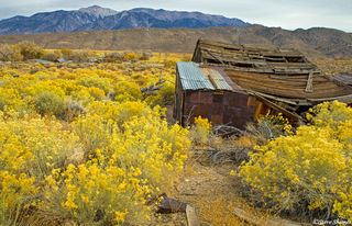 Benton California