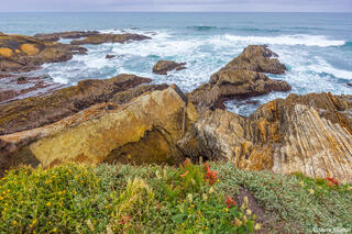 Bluff Trail Montana de Oro 