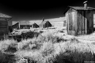 Bodie Outhouse
