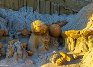 Cannonball Concretions