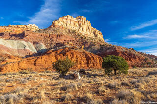 Capitol Reef Colors