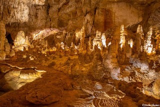 Carlsbad Caverns Stalagmites