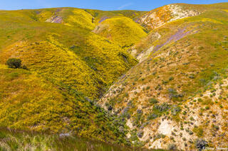 Colorful Carrizo Hills