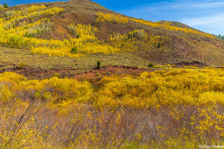 Colorful Wyoming Hillside