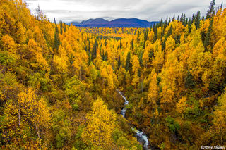 Creek Through Hills