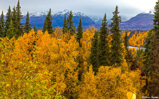 Denali State Park