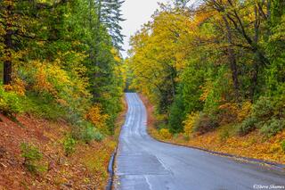 Foresthill Road