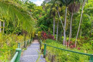 Garden of the Sleeping Giant