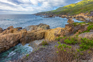 Garrapata State Park