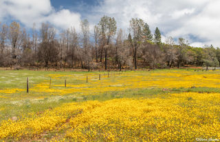 Georgetown Road Field
