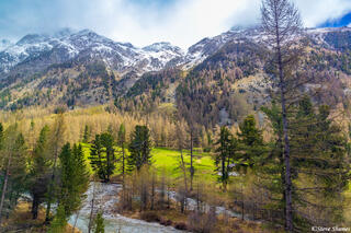 Glacier Express View