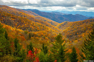 Great Smokey Mountains Fall Color