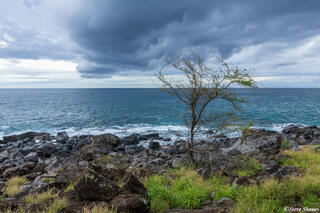 Hawaii West Coast
