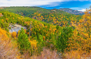 Ice House Road Fall Colors