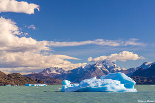 Iceburgs On Lago Argentino
