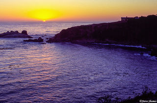 Jenner Sunset