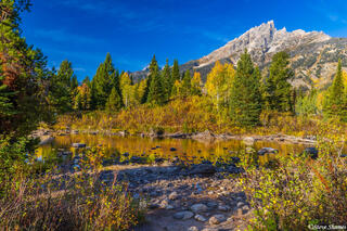 Jenny Lake Trail