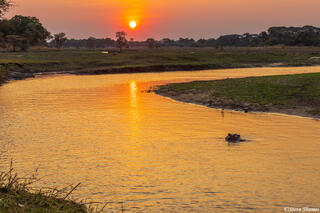 Katavi-Katuma River Sunset