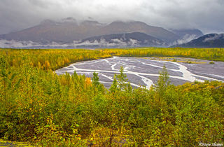 Kenai Fjords Alaska