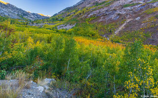 Lamoille Canyon Nevada