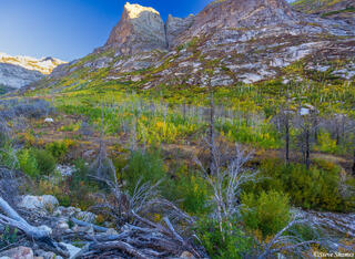 Lamoille Canyon Scenic Byway