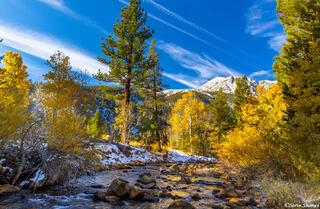 Lee Vining Creek
