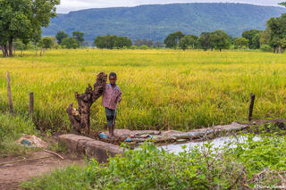 Little Boy Fishing