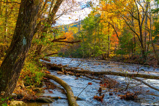Little River Tennessee