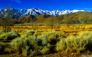 Lone Pine California