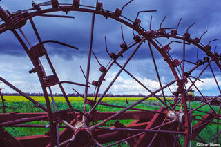 Looking Through Farm Equipment