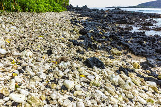 Manini Beach Hawaii