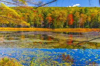 Massachusetts Fall Colors