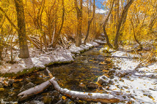 McGee Creek Mono County