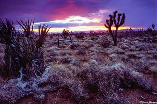 Mojave Desert Sunset