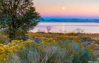 Mono Lake Moonrise