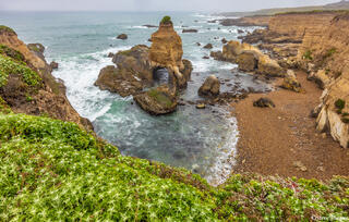 Montana de Oro California